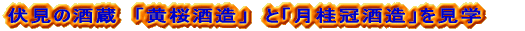 ̎𑠁@u𑢁v@Ɓuj𑢁vw